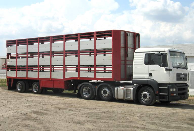 Прицеп для перевозки крупного рогатого скота из Александрова Гая в Волоколамск